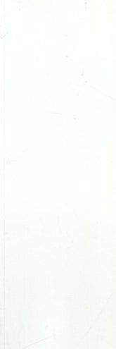 13AW2 (OF012) ENTRANCE SATIN WHITE 100X300